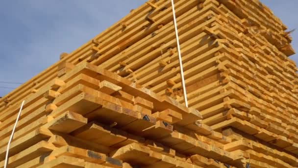 锯木厂上的木板锯材干枯 4K镜头 — 图库视频影像