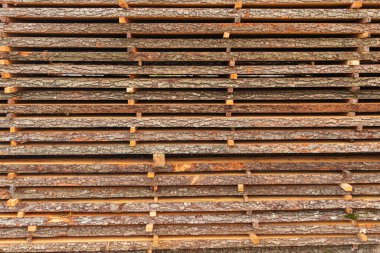 Çam ağacı kereste yığını, doğal kaba ahşap tahtalar. Ağaç kabuklu testere tahtaları.