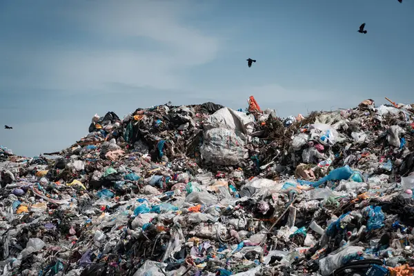 Montes Lixo Aterro Gaivotas Sobre Uma Pilha Lixo Fotos De Bancos De Imagens Sem Royalties