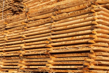 Kereste fabrikasında çiğ tahtalar yığılmış. Testere tahtaları. Ahşap endüstrisi.