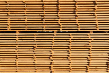 Kesme ve kurutma tahtaları. Keresteyi kurutmaya basit bir yaklaşım. Ahşap endüstrisi.