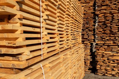 Tahta yığınını kapat. Bir kereste fabrikasında ahşap malzemesi üretimi.