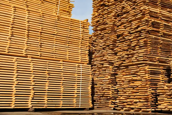 Kereste fabrikasındaki tahta tahtalar. Kereste fabrikasındaki tahta yığınları. Tahta ahşap kuru sıkı yığını. İnşaat malzemesi üretimi.