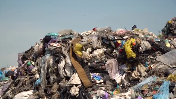 Velká Skládka Odpad Domácností Skládce Koncept Znečištění Planety Záběry — Stock video