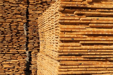 Çam yığını. Odun kurutma. Kereste. Hasat, inşaat için kereste satışı..