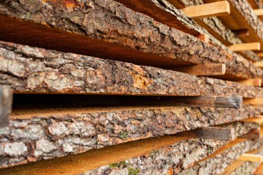 Kereste fabrikasındaki kalaslar doku ve arka plan olarak kullanılıyor. Ağaç kabuğu yakın..