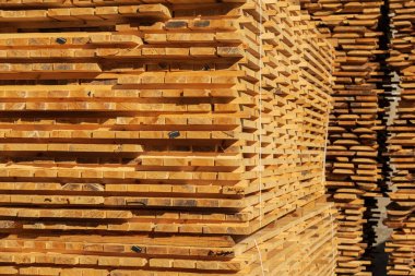 Bir yığın tahta. Tahtalar kereste atölyesine istiflenmiş. Bıçkıhanedeki testere tahtaları. Ahşap malzemesi üretimi.