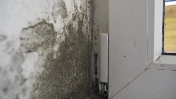 Slope Nära Fönstret Svamp Fukt Dåligt Installerade Fönster Regnvatten Tränger — Stockvideo