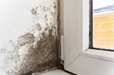 Pencerenin yanındaki duvar siyah mantarla kaplı. Plastik pencere mantar tarafından saldırıya uğruyor. Evdeki rutubet sorunu..