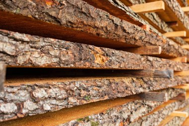 Ağaç kabuğu olan sert tahtalar kereste fabrikasında yatıyor. Odunların hava kuruması. Tahtanın güzel bir görüntüsü..