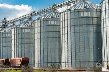 Tahıl deposu. Tarımsal ürünlerin kuru temizleme ve depolanması için tarımsal işleme ve imalat tesisinde silolar. Modern çelik tarımsal tahıl ambarları. Tarım sektörü.