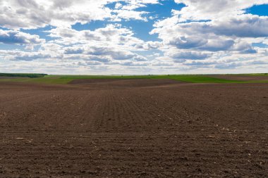 Mavi gökyüzü ve bulutları olan tarım arazisi. Tarlaya sürülmüş bir tarla. Tarım arazisi. Tarım endüstrisi.