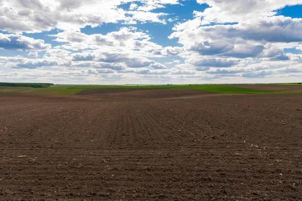 Mavi gökyüzü ve bulutları olan tarım arazisi. Tarlaya sürülmüş bir tarla. Tarım arazisi. Tarım endüstrisi.