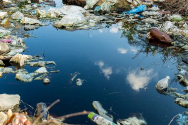 Çöp ve plastik şişeler suda. Nehir ve gölde plastik atık. Çevre kirliliği. Su kirliliği sorununu gösteriyor.
