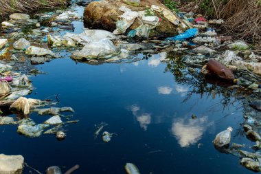 Çöp ve plastik şişeler suda. Su üzerindeki çöp ve kirlilik. Çevre kirliliği.