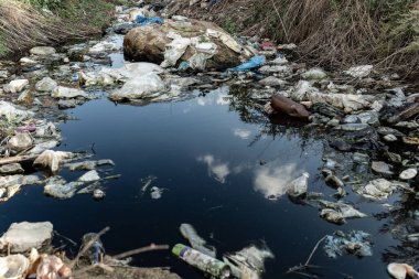 Nehir çöp dolu. Yüzen çöp ve plastik atıklarla kaplı göl. Çevre kirliliği.