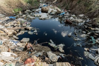 Bir su kütlesi, çevredeki bitki örtüsünü yansıtırken, çevrenin acilen korunması gerektiğini gösteren plastik atık ve molozlarla ağır şekilde kirletilmiştir..