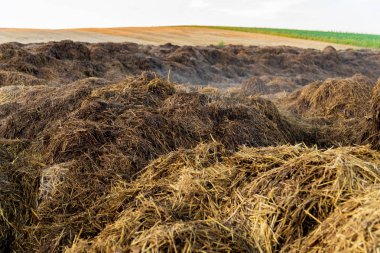 Amidst the rolling hills, large mounds of manure sit in a rural area as clouds gather above, hinting at possible rain in the late afternoon light. clipart