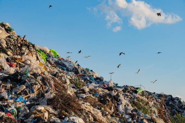 Plastik atık ve molozlarla dolup taşan büyük bir çöp yığını şehir ortamında otururken, kuşlar açık mavi gökyüzüne karşı daireler çizerek ekolojik endişeleri vurguluyorlar..