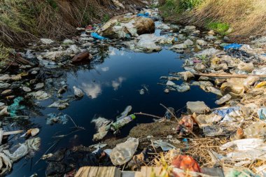 Küçük bir su yolu plastik atık ve molozlarla yoğun şekilde kirlenerek gün ışığında çevreleyen yeşillikleri yansıtıyor. Sahne, kırsal bölgelerin karşı karşıya olduğu çevresel sorunları vurguluyor.