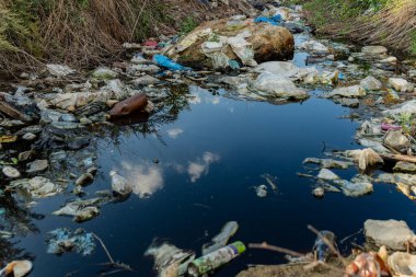 Bir nehir kıyısı, çevresel bozulmayı gösteren plastik atıklarla ve atıklarla doludur. Durgun su bulutları yansıtıyor, doğa ve kirlilik arasındaki zıtlığı vurguluyor..