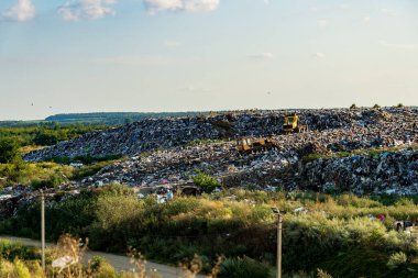 Çevresi yeşilliklerle çevrili bir çöp sahasında toplanan atık dağları, öğleden sonra güneş altında atık yönetimi uygulamalarının çevresel etkilerini vurguluyor..
