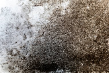 Sol tarafında soluk beyaz bir boya parçası ve sağ tarafında koyu kahverengi yamalar olan desenli beton bir duvar..