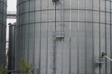 Uzun metalik silolar bulutlu gökyüzüne karşı yükseliyor. Erişim merdivenleri ve çevresindeki tarım arazilerini gösteriyor. Yapılar tahıl depoluyor, tarım için hayati önem taşıyor..