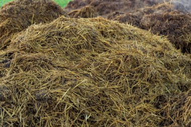 Büyük bir organik gübre yığını, besin değeri yüksek kırsal bir çiftlikte bulunur. Güneş ışığı saman ve gübre karışımını vurguluyor. Bu da gün içinde toprak temizleme süresini gösteriyor..