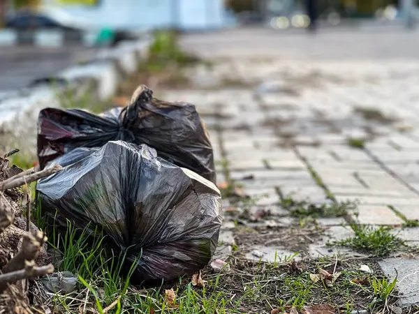 Çöpe atılmış siyah bir plastik torba yerde duruyor, çöplerle dolup taşıyor, umumi bir alanda tuğladan bir geçide bitişik. Alan ihmal belirtileri gösteriyor..