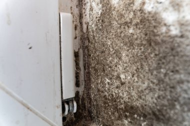 Küf ve mantar, bir pencerenin yanındaki odanın iç duvarı boyunca görünür şekilde yayılıyor. Bu da ciddi nem sorunları ve potansiyel sağlık riskleri olduğunu gösteriyor..