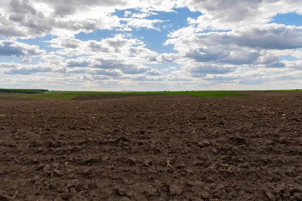 Geniş çaplı tarımsal alan ufka doğru uzanır, gökyüzünün altında kabarık bulutlar ve arka planda yeşil lekelerle dolu zengin kahverengi toprak sergilenir..