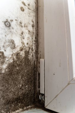 Küf ve mantar bir pencerenin yanındaki duvar boyunca görünür bir şekilde yayılıyor. Bu da potansiyel nem sorunlarını ve ev bakımında ihmalkarlığı gösteriyor..
