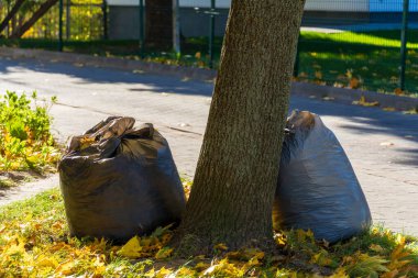 Aydınlık bir sonbahar gününde bir ağaca yaslanmış iki torba çöp. Düşen yapraklarla çevrili. Kamu alanlarını temiz ve düzenli tutmanın önemini vurguluyor..