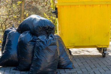 Siyah çöp torbaları, sakin bir açık alanda canlı sarı bir çöp konteynırının yanında duruyor. Ayarlar, yaklaşan temizliği ima ederek doğanın sakin bir zeminini ortaya çıkarıyor..