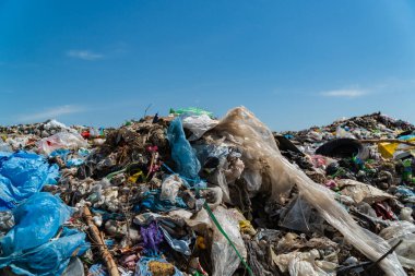 Plastik ve enkaz da dahil olmak üzere muazzam miktarda atık, mavi gökyüzü altındaki manzarayı kirleterek, daha iyi atık yönetimi ve geri dönüşüm ihtiyacının altını çiziyor.