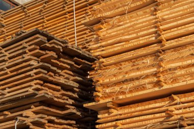 Sunlight shines on neatly stacked timber planks at a sawmill. Various sizes of wooden lumber are organized for drying, showcasing the natural grain and texture of the wood. clipart