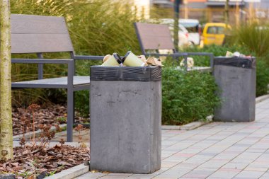 Şehir parkında, iki çöp bidonu çöp ve plastik poşetlerle dolup taşıyor. Yakındaki banklar, yeşil ve asfalt kaldırımların ortasındaki ziyaretçilere dinlenme yeri sağlayarak, atık yönetiminin önemini vurguluyor.