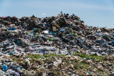 Plastik ve organik atıklar da dahil olmak üzere çöp yığınlarıyla dolu geniş bir çöp sahası, kötü atık yönetimi uygulamalarının sürmekte olan çevresel etkisini göstermektedir..