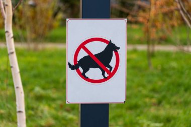 Bu işaret açıkça gösteriyor ki, parkı temiz tutmak ve tüm ziyaretçiler ve aktiviteleri için hoş bir ortam sağlamak amacıyla köpeklerin bölgeye girmesine izin verilmiyor..