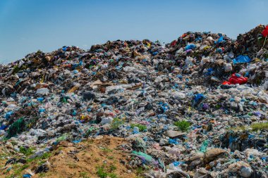 Plastik ve molozlardan oluşan dağlar araziyi çöplükle doldurarak, bu kırsal alandaki ekosistem üzerindeki önemli sağlık sorunları ve çevresel etkileri vurguluyor..