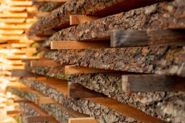 Yığılmış kalaslar öğleden sonra güneş ışığını yakalayarak taze kesilmiş kerestelerin dokusunun ve renginin zengin varyasyonlarını sergiliyor. Her parça, işçiliğin ve doğanın güzelliğinin hikayesini anlatıyor..