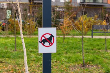 Parlak bir uyarı işareti, bu yeşil halka açık alanda köpeklerin rahatlamasına izin verilmediğini gösteren üstü çizili bir köpek sembolü gösteriyor. Arkaplanda sonbahar yaprakları ve kentsel unsurlar yer alıyor..
