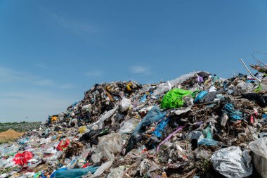 Plastik atıklar ve atık maddeler, çevredeki kirliliğin etkisini gözler önüne sererek, bir çöp sahasının yüksekliğine ulaşırlar..