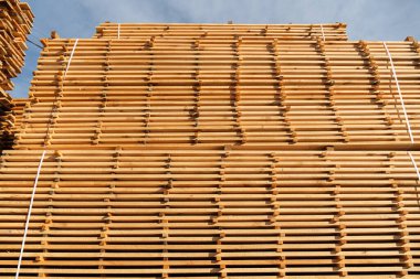 Bir kereste deposuna düzgünce istiflenmiş sayısız ahşap tahta, açık mavi gökyüzünün altında doğal tahıl ve renklerini sergiliyor..