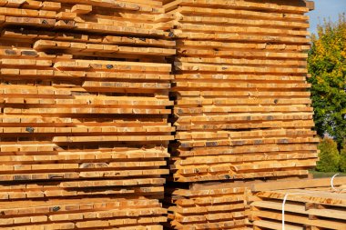 Taze kesilmiş kereste yığınları öğleden sonraları açık mavi gökyüzünün altında çeşitli ahşap tahtalar sergiliyor..