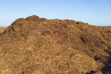 Parlak bir sabah gökyüzünün altında geniş açık bir araziyle çevrili olan tarım arazisinde önemli bir organik gübre yığını bulunmaktadır..