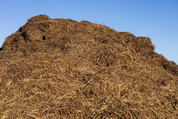 Büyük bir saman yığını ve saman yığını açık mavi bir gökyüzünün altında, tarım ortamını ve günışığı dokularını gözler önüne seriyor..