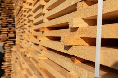 Kereste parçaları yumuşak güneş ışığı altında düzgünce istiflenir, bir zanaat alanında taze kesilmiş ahşabın zengin dokularını ve renklerini sergiler..