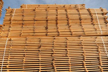 Parlak güneşin altında parlayan tahta yığınları ahşap işleme tekniklerinin karmaşık detaylarını ortaya çıkarıyor..